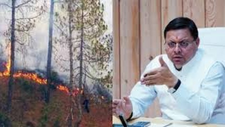 वनाग्नि रोकने के गंभीर प्रयासों से बढ़ी उम्मीदें