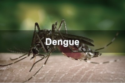 Dengue Attack: उत्तराखंड में डेंगू मरीजों का आंकड़ा एक हजार पार