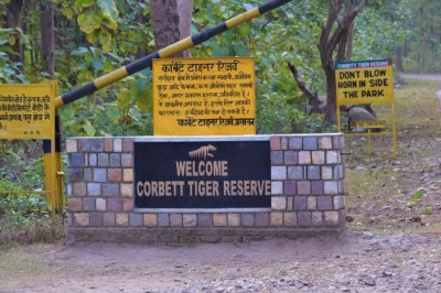 कॉर्बेट के बफर जोन में निर्माण पर एनटीसीए का नोटिस, वन विभाग से जवाब तलब