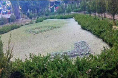 मसूरी के कंपनी गार्डन में बिछी पाले की सफेद चादर, क्रिसमस के बाद बर्फबारी के आसार